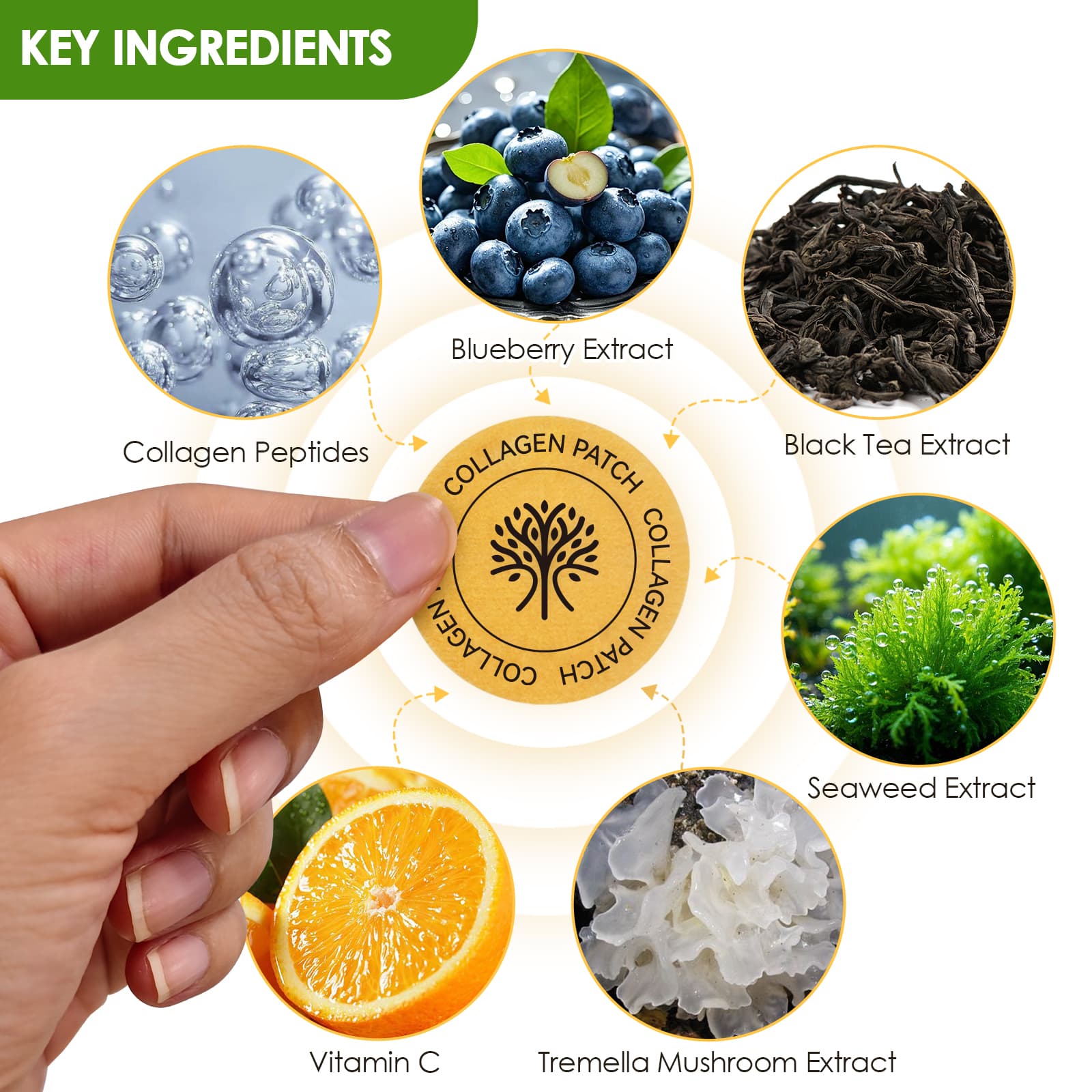 Kolagēns thumbnail 4