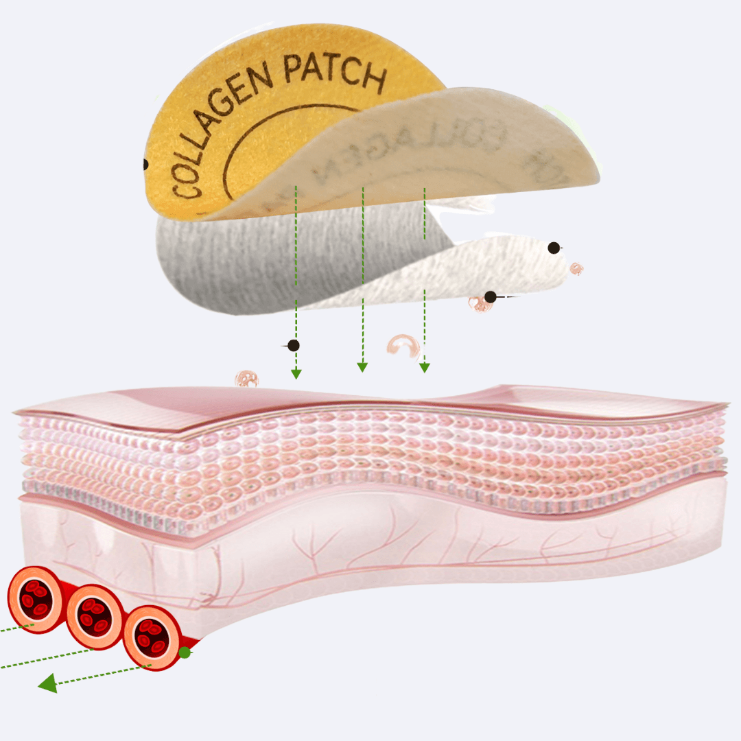 Transderminio pleistro veikimo iliustracija